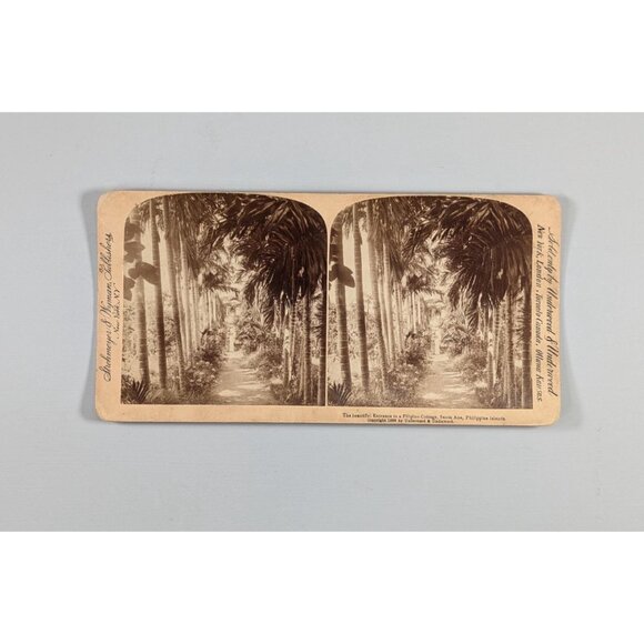 Antique Stereoview card of "the beautiful entrance to a Filipino cottage in - Picture 3 of 8